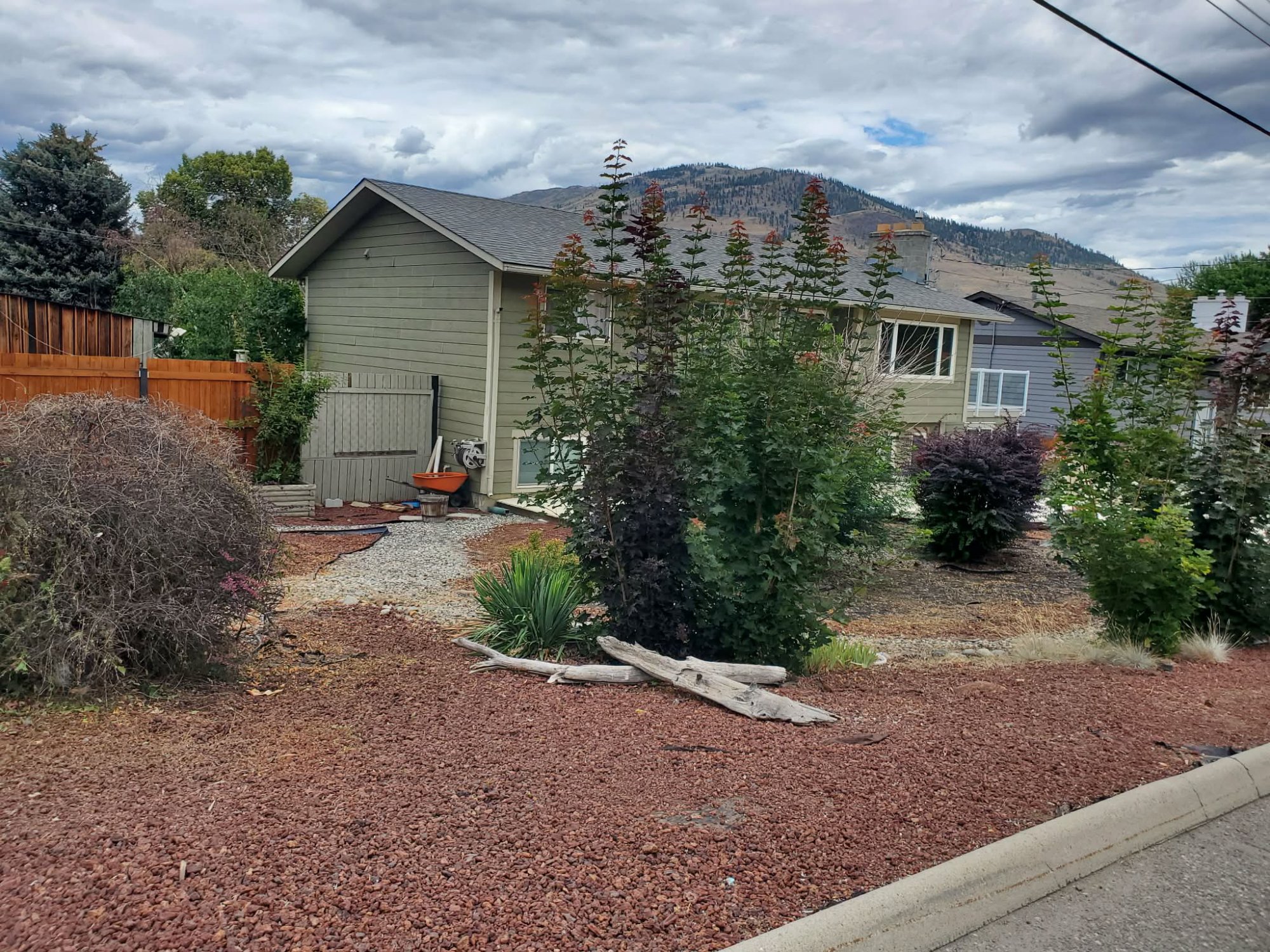 After: transformed residential front yard with new plantings and mulch