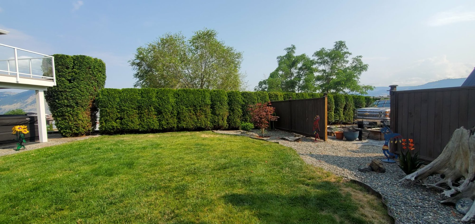 Immaculately shaped hedge row with mountain backdrop